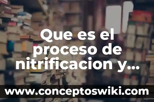 Que es la planta del amigo 8 Que es el proceso de nitrificacion y desnitrificacion
