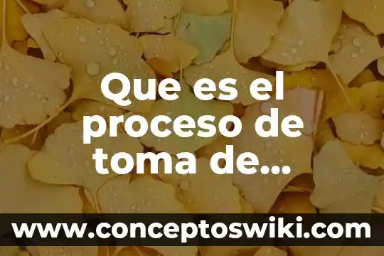 Que es la toma de agua en una central hidroelectrica 7 Que es el proceso de toma de decisiones en administracion