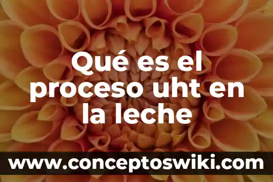 Leche larga vida que es 7 Qué es el proceso uht en la leche