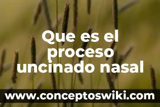Que es bueno para la congestión nasal natural 6 Que es el proceso uncinado nasal