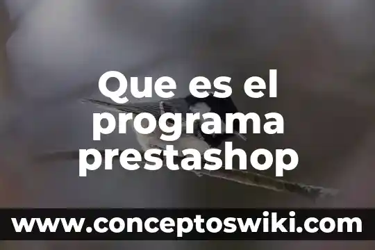 Qué es repetición en el diseño gráfico significado 3 Que es el programa prestashop