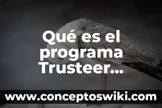 Lentes de seguridad que es 8 Qué es el programa Trusteer Seguridad Terminal