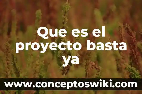 Que es un proyecto real 7 Que es el proyecto basta ya