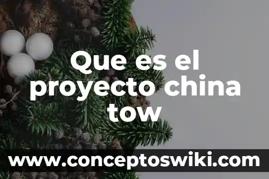Que es un proyecto real 5 Que es el proyecto china tow