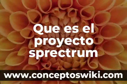 Que es un objetivos en un proyecto 6 Que es el proyecto sprectrum