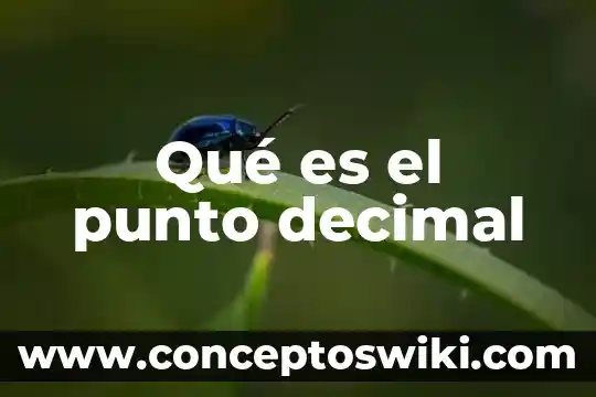 Que es la planta del amigo 3 Qué es el punto decimal