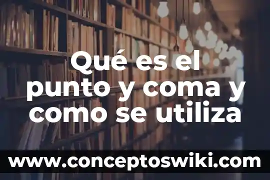 Qué es la representación de coma flotante 4 Qué es el punto y coma y como se utiliza
