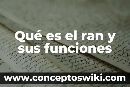 Qué es wod y sus funciones 4 Qué es el ran y sus funciones