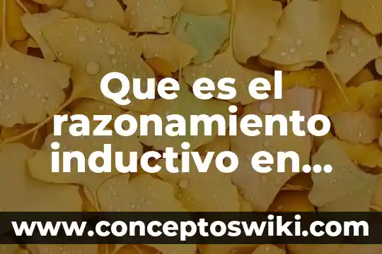 Que es el razonamiento libros 3 Que es el razonamiento inductivo en psicologia