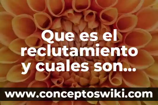 Qué es y cuáles son las características de un argumento 6 Que es el reclutamiento y cuales son las fuentes