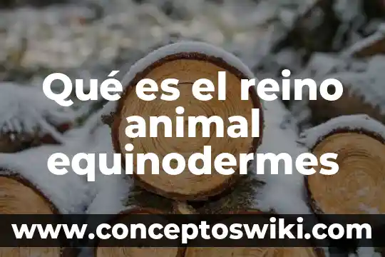 Qué es resolución de problemas 3 Qué es el reino animal equinodermes