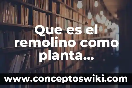 Que es una planta medicinal yahoo 6 Que es el remolino como planta medicinal