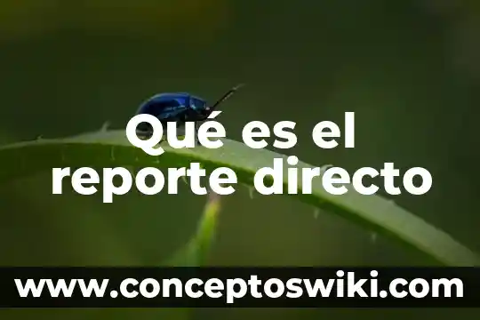 Que es hacer un proceso directo 6 Qué es el reporte directo