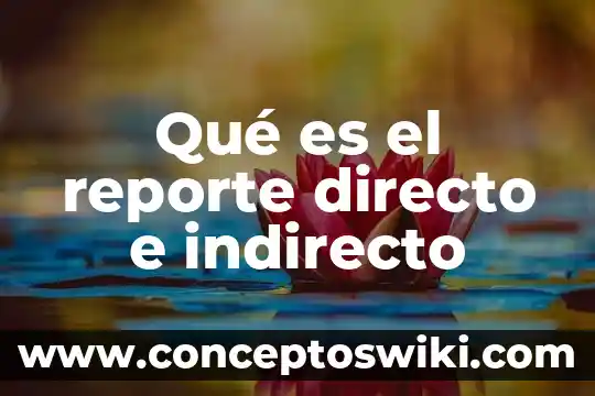 Que es el discurso directo y discurso indirecto 5 Qué es el reporte directo e indirecto