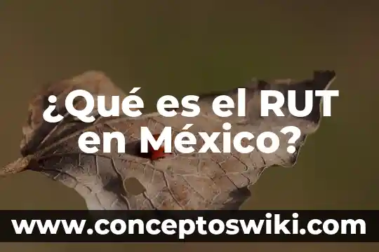 Por que es importante cambiar el modem mexico 7 ¿Qué es el RUT en México?