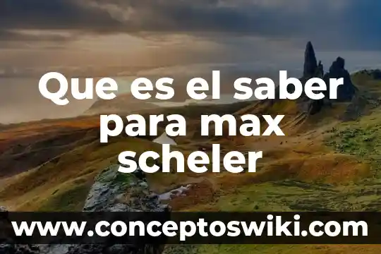 Max weber ciencias sociales que es 4 Que es el saber para max scheler