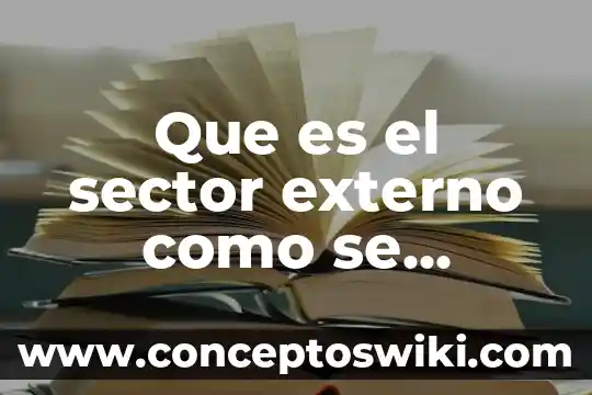 Que es lo que se conoce como guerra mediatica 6 Que es el sector externo como se conoce