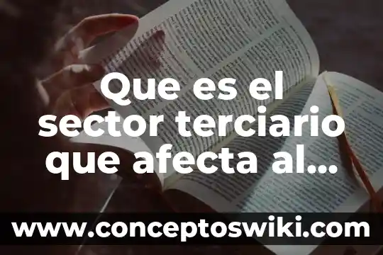 Qué es un inspector de seguridad y medio ambiente 4 Que es el sector terciario que afecta al medio ambiente
