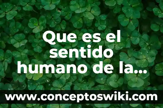 Qué es DIF en la tecnología 4 Que es el sentido humano de la tecnologia