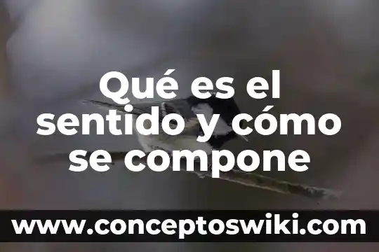 Glicolisis significado etimológico y qué es 5 Qué es el sentido y cómo se compone
