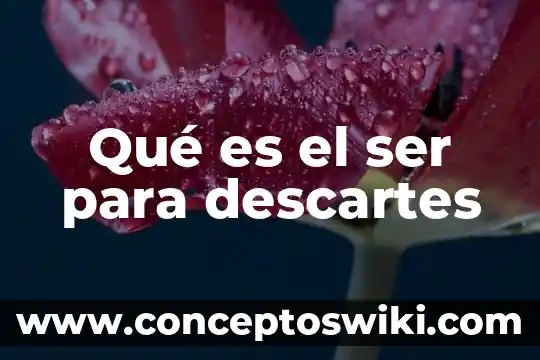 Por que es importante ser empático 8 Qué es el ser para descartes