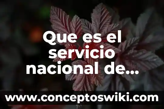 Servicio de plegado de papel que es 3 Que es el servicio nacional de geologia
