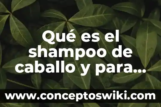 Que es el dolor de caballo en las personas 3 Qué es el shampoo de caballo y para qué sirve