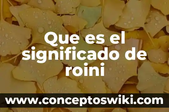 Que es precolombino significado 3 Que es el significado de roini