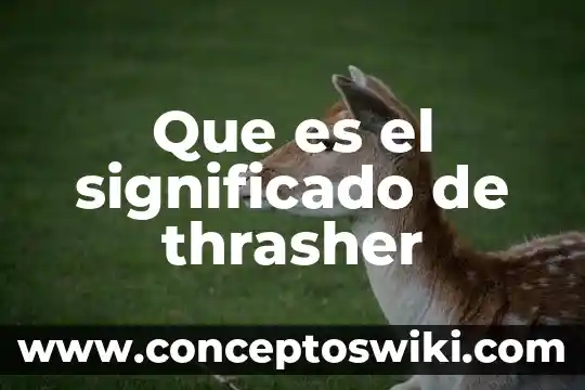 Que es un sensorial y tipos 7 Que es el significado de thrasher