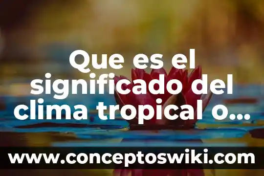 Que es lumbreras significado 7 Que es el significado del clima tropical o humedo