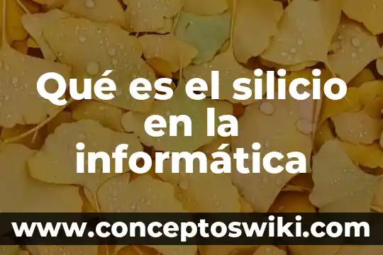 Que es encapsulamiento informatica 8 QuƩ es el silicio en la informƔtica