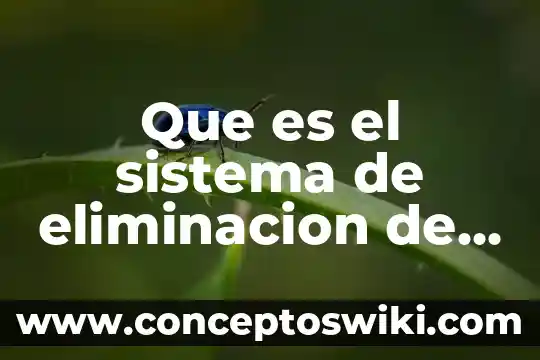 Que es sistema de coparticipación 8 Que es el sistema de eliminacion de sustitucion