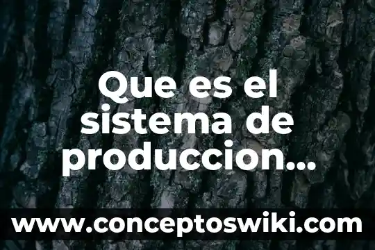 Que es el terminal punto de venta de inbursa comviene 3 Que es el sistema de produccion americano