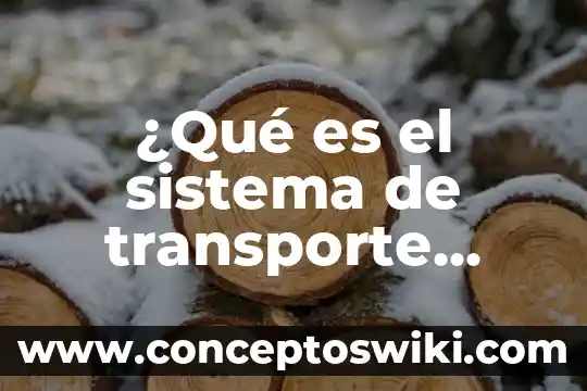 ¿Qué es el sistema nervioso central en psicología clínica? 5 ¿Qué es el sistema de transporte colectivo metro?