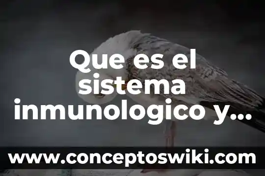 Que es el sistema financiero nacional 5 Que es el sistema inmunologico y como se fortalece