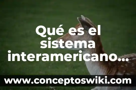 Qué es extrapolación en derechos humanos 3 Qué es el sistema interamericano de protección de derechos humanos