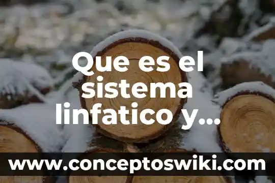 Que es el almidon y como esta constituido quimicamente 4 Que es el sistema linfatico y como esta constituido
