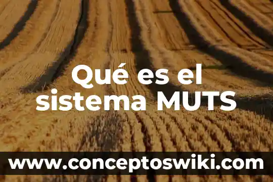 Que es el sistema de color rgb 6 Qué es el sistema MUTS