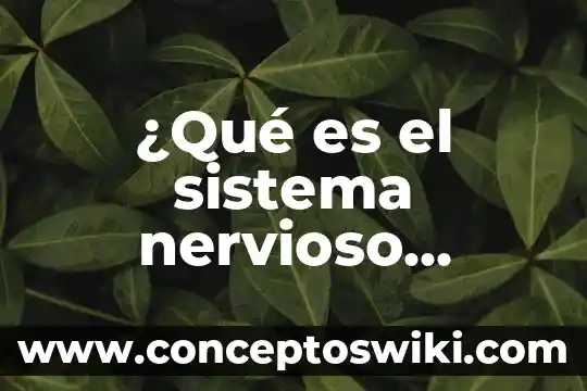 Que es el sistema nervioso informatico 7 ¿Qué es el sistema nervioso central en psicología clínica?