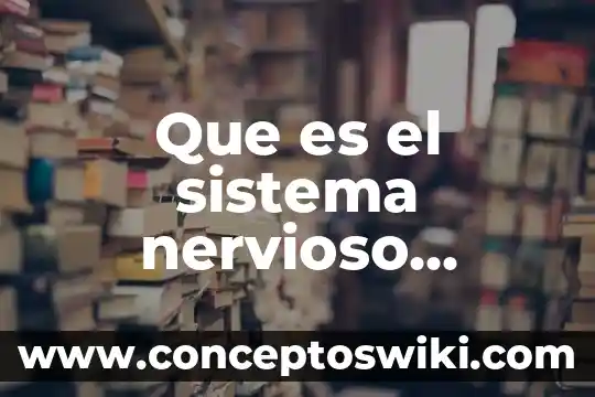 ¿Qué es el sistema nervioso central en psicología clínica? 6 Que es el sistema nervioso informatico