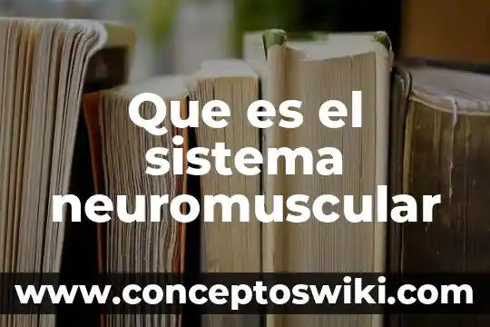 Qué es el sistema de enfriamiento de agua 8 Que es el sistema neuromuscular