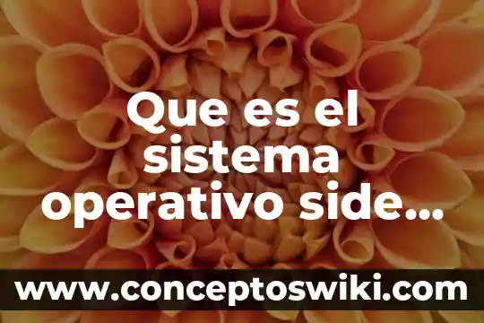 ¿Qué es un plan operativo programa de salud? 3 Que es el sistema operativo side unam