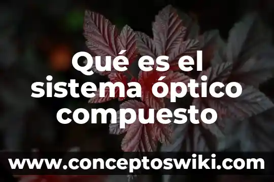 Como sabes que es una sustancia es un compuesto 8 Qué es el sistema óptico compuesto