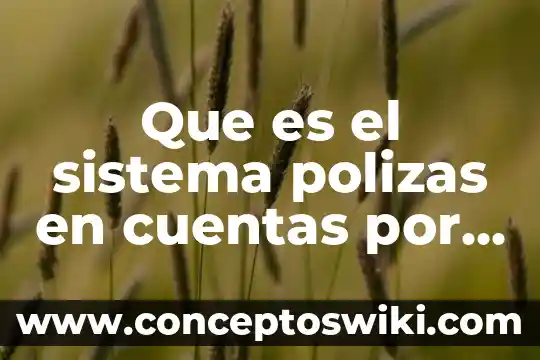 Que es la contaminacion del agua para niños de primaria 3 Que es el sistema polizas en cuentas por pagar