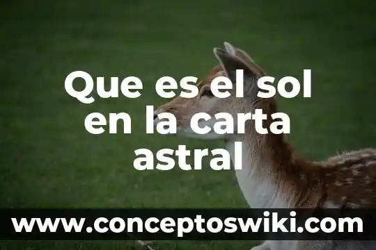 Luna se entera que es sol 6 Que es el sol en la carta astral
