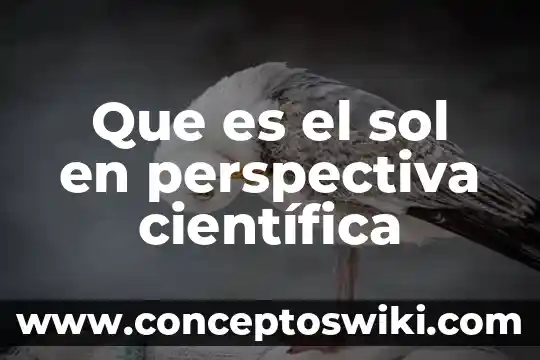Qué es la perspectiva en tecnología 5 Que es el sol en perspectiva científica