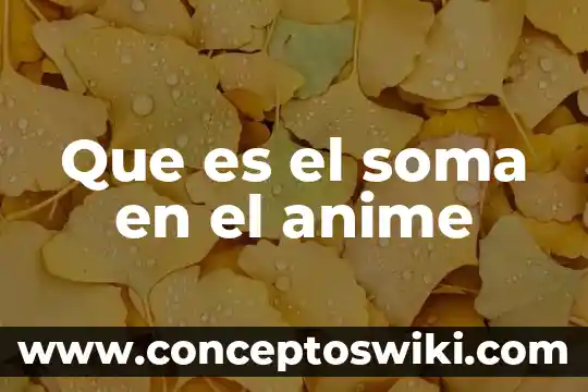 Que es enh anime 3 Que es el soma en el anime