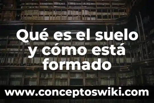 Para que es esta medicina metoclopramida 6 Qué es el suelo y cómo está formado