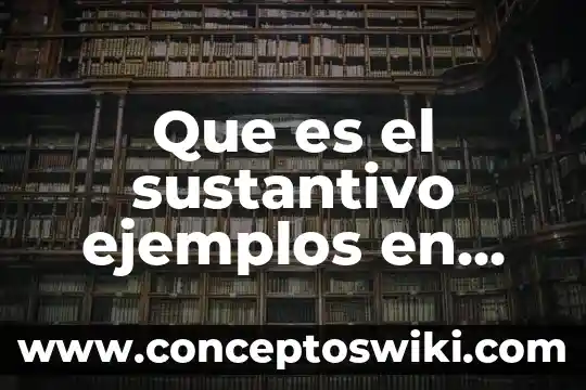 Qué es un sustantivo en un animal 7 Que es el sustantivo ejemplos en oraciones