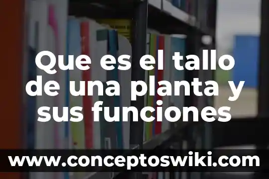 Planta que es puross palillos 8 Que es el tallo de una planta y sus funciones